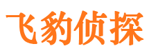 阿合奇找人公司